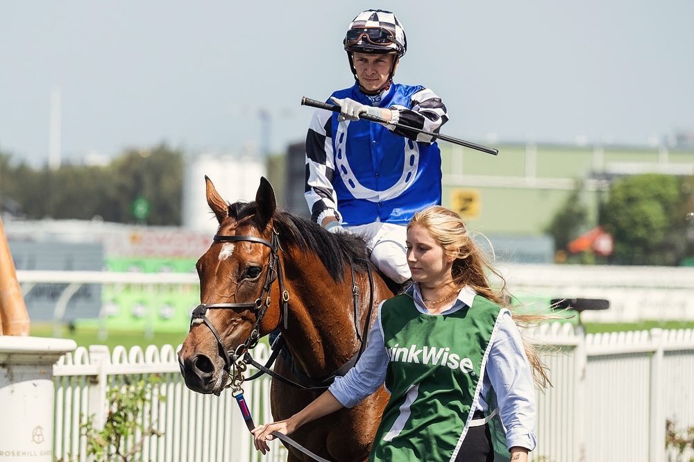 cmaherracing's tweet photo. A brilliant day at the office yesterday with Metro doubles in both Melbourne and Sydney! 
🥇 Jimmysstar ⭐️ 
🥇 Herman Hesse 
🥇 Kettle Hill 
🥇 Wallenda 
Fantastic effort from all the team and congratulations to all connections! https://t.co/tjtwe73PdZ
