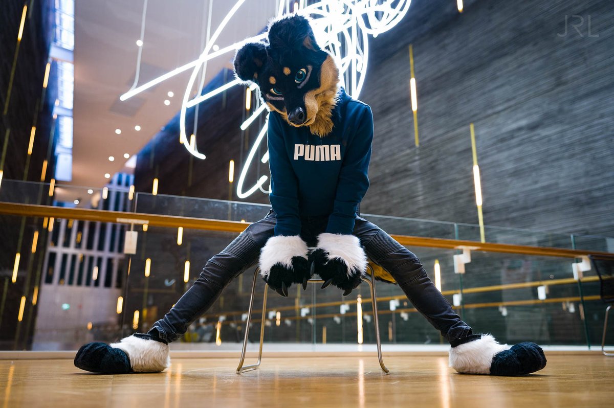 Guys! NFC is coming closer! Have a Doggo that can't sit normal out of excitement! :D

🖤Doggo is me 
🧵Fursuit made by <a href="/NeonFurStudios/">NFS - NeonFurStudios</a>
📷 The amazing <a href="/RemusFur/">Remus</a> at NFC 2023
#FursuitFriday #FursuitEveryday 
 #Fursuit