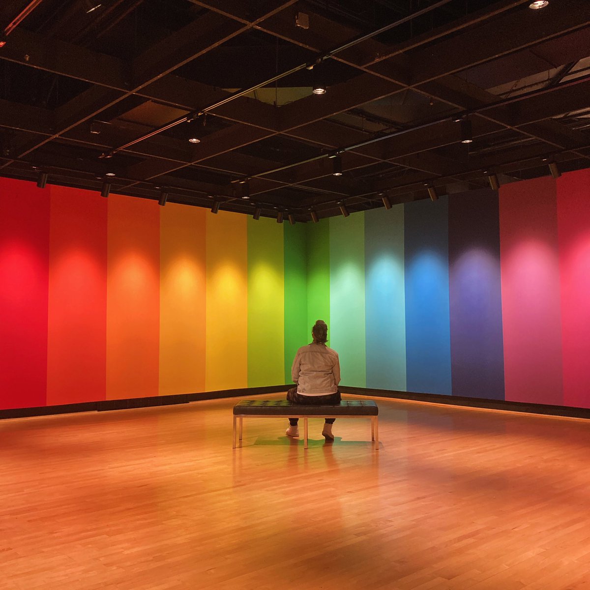 The exhibition “Lisa Marie Thalhammer: Chromatic Dialogue” is now on view through April 5 @UMDArtGallery. The in-gallery mural “Harmonic Color Balance” (2024) is spectacular. See it in person before it’s gone forever! #artsforall #umd 🖼️ 🏳️‍🌈 🐢