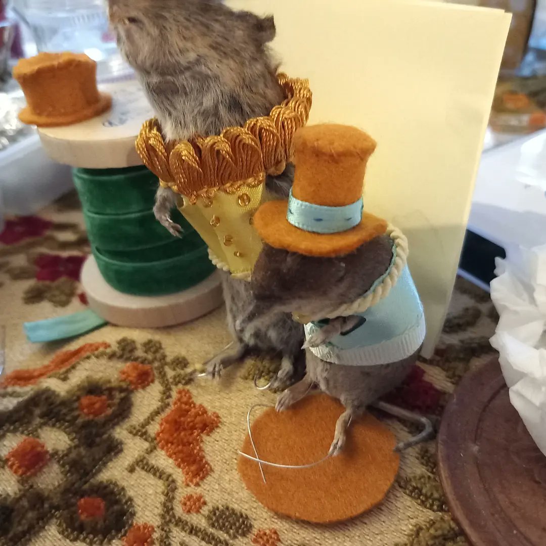 DoubbleLouise's tweet photo. Little commissions coming on nicely!#VoodooMouseDesigns #rodent #taxidermyart #taxidermyforsale #costumedesign #ribbon #handsewing #deadwhenwemet #smallmammals #etsyseller https://t.co/6ujKvJEHip