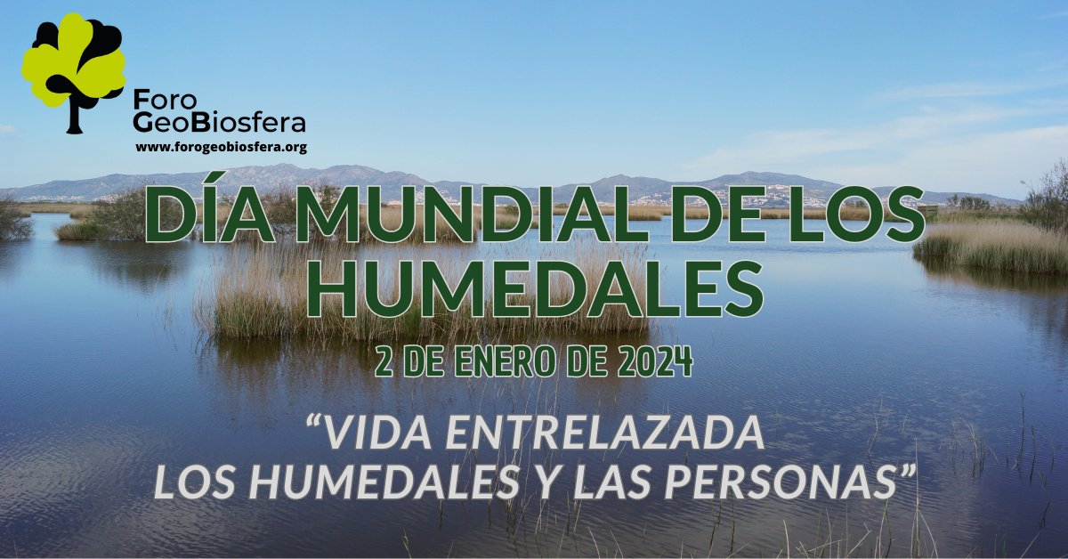ForoGeobiosfera's tweet photo. El lema escogido para el #DiaMundialDeLosHumedales  2024, “Vida entrelazada. Los #HumedalesYPersonas Destaca el papel esencial que juegan estos #ecosistemas para nuestra propia supervivencia. https://t.co/1B1oB4cApy https://t.co/AVDuTSrJXq