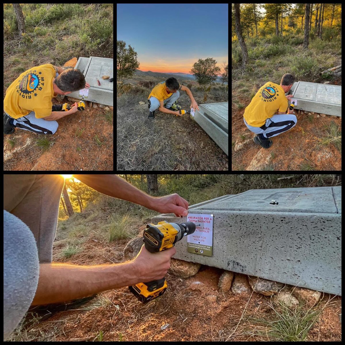 CAT
aquest hivern hem dut a terme, juntament amb <a href="/salvatgines/">Salvatgines</a>, un projecte d’ instal.lar 3 abeuradors pee fauna salvatge 
ESP
 este invierno junto, con <a href="/salvatgines/">Salvatgines</a>, hemos instalado en la zona 3 bebederos para fauna salvaje
