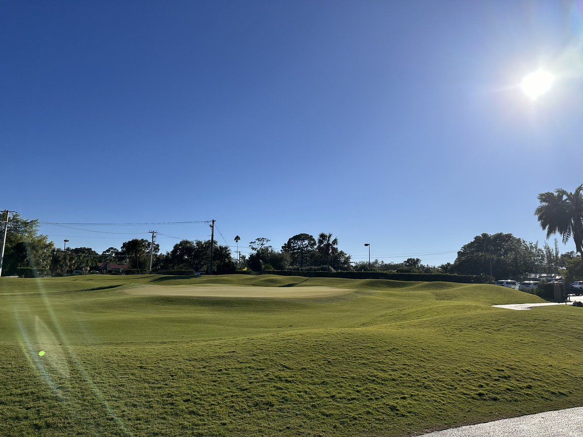 Carlyle Merring tweet media