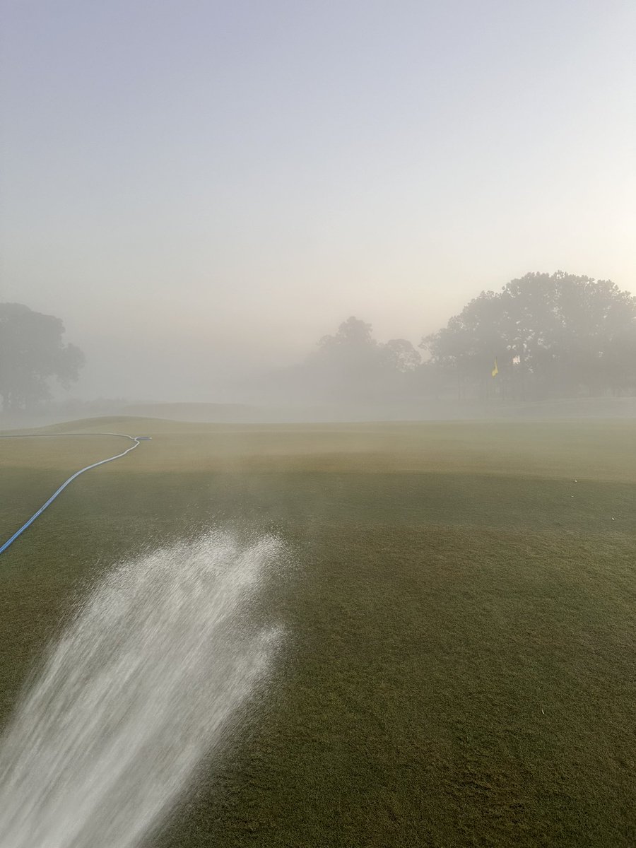 Carlyle Merring tweet media