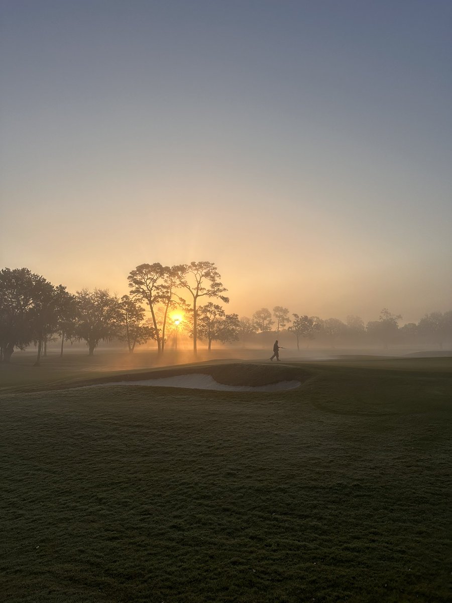 Carlyle Merring tweet media