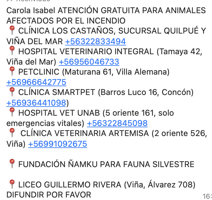 zukicc2's tweet photo. Por favor difundir, atención gratuita para animales afectados por el incendio:
 #Valparaiso https://t.co/XlWTzTyiZH