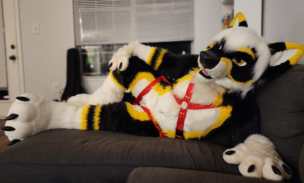 Sylox95's tweet photo. Alone on a Saturday night? God, you're cute 😉

📸 @aerialiftstudio https://t.co/ZD6yXoed7S