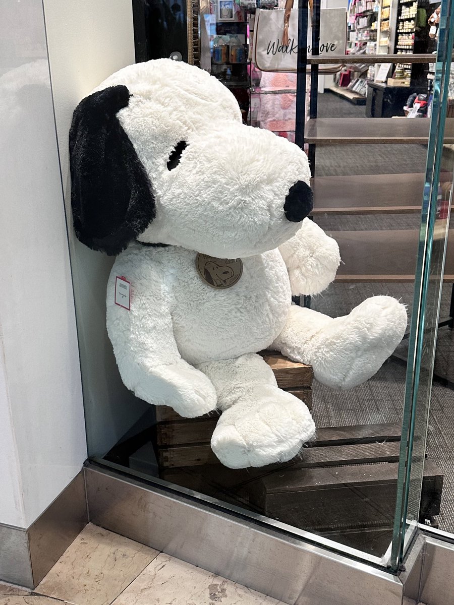 snoopystwin's tweet photo. FREE MY DAWG https://t.co/ry2Q1nUyVa