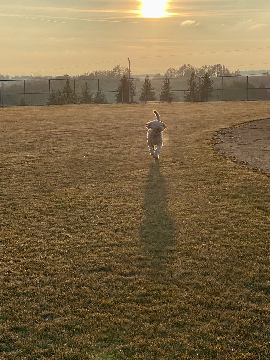 hernan81375313's tweet image. “Unexpected warmth in January! Embracing the unusual weather by tossing the ball for my dog – who needs winter when you’ve got sunny playtime? ☀️🐶 #JanuaryWarmth #UnusualWeather”@EPEAGLESEHSI