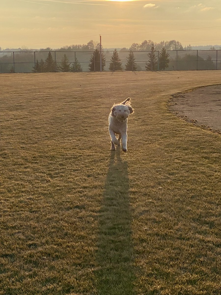 hernan81375313's tweet image. “Unexpected warmth in January! Embracing the unusual weather by tossing the ball for my dog – who needs winter when you’ve got sunny playtime? ☀️🐶 #JanuaryWarmth #UnusualWeather”@EPEAGLESEHSI