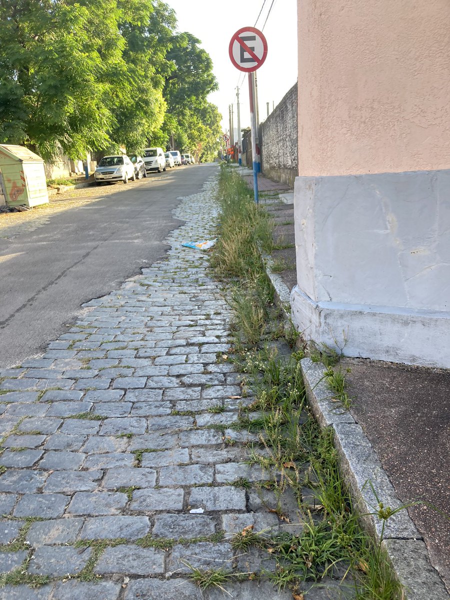 Oli250474's tweet photo. El pastizal en la calle sigue creciendo y no se ha visto hace muchos meses a la cuadrilla de @mtacuru que realizaba eficientemente el trabajo, que paso @montevideoIM Municipio C https://t.co/mmUzv91E4N