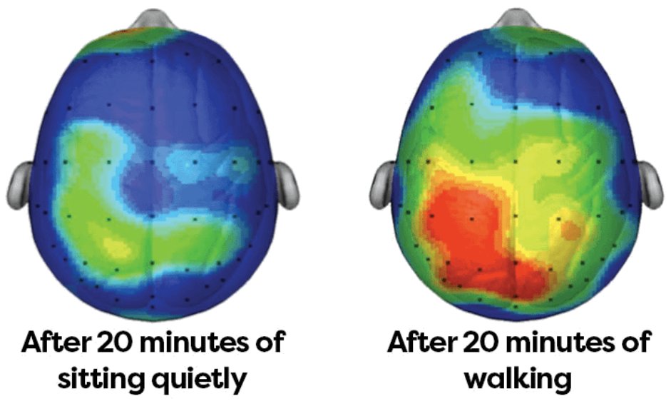 A walk in nature is so beneficial.

Just 20 minutes is all it takes to fire up brain regions responsible for creativity, learning, and memory

Your brain and body will thank you.