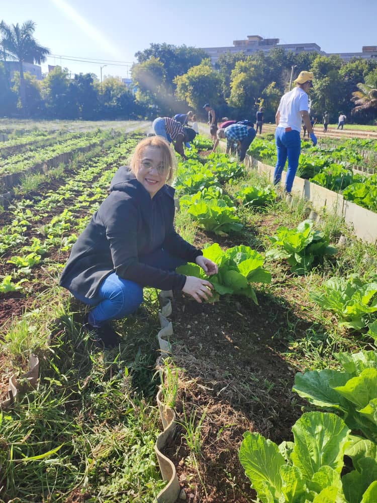 Esta jornada dedicada a #Martí incluyó la limpieza de los surcos de este cultivo ecológico urbano.
Honrar honra.