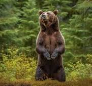 AmandaBell62296's tweet photo. this is my mood https://t.co/feB34Stfqb