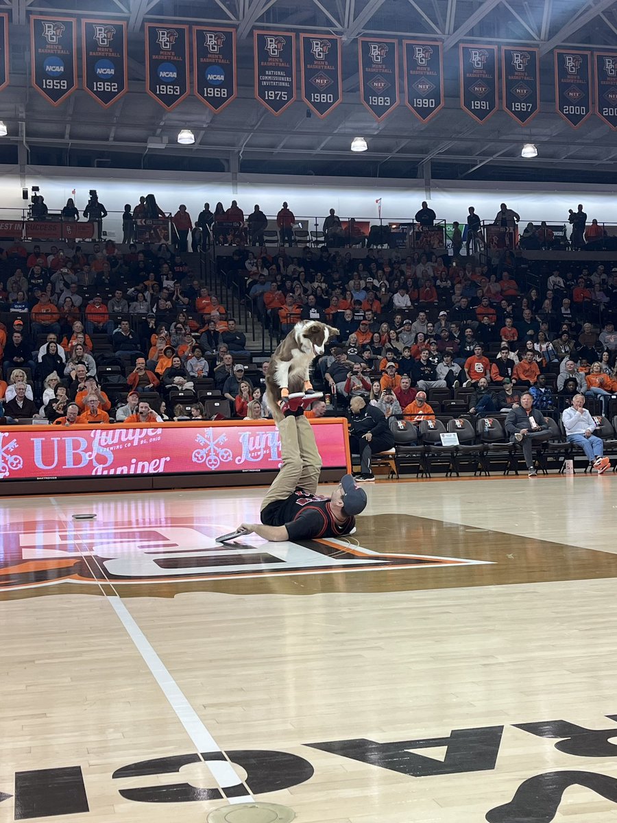 BGScreechTeam's tweet photo. Love a dog performance show at halftime! https://t.co/nGVjlSoVjH