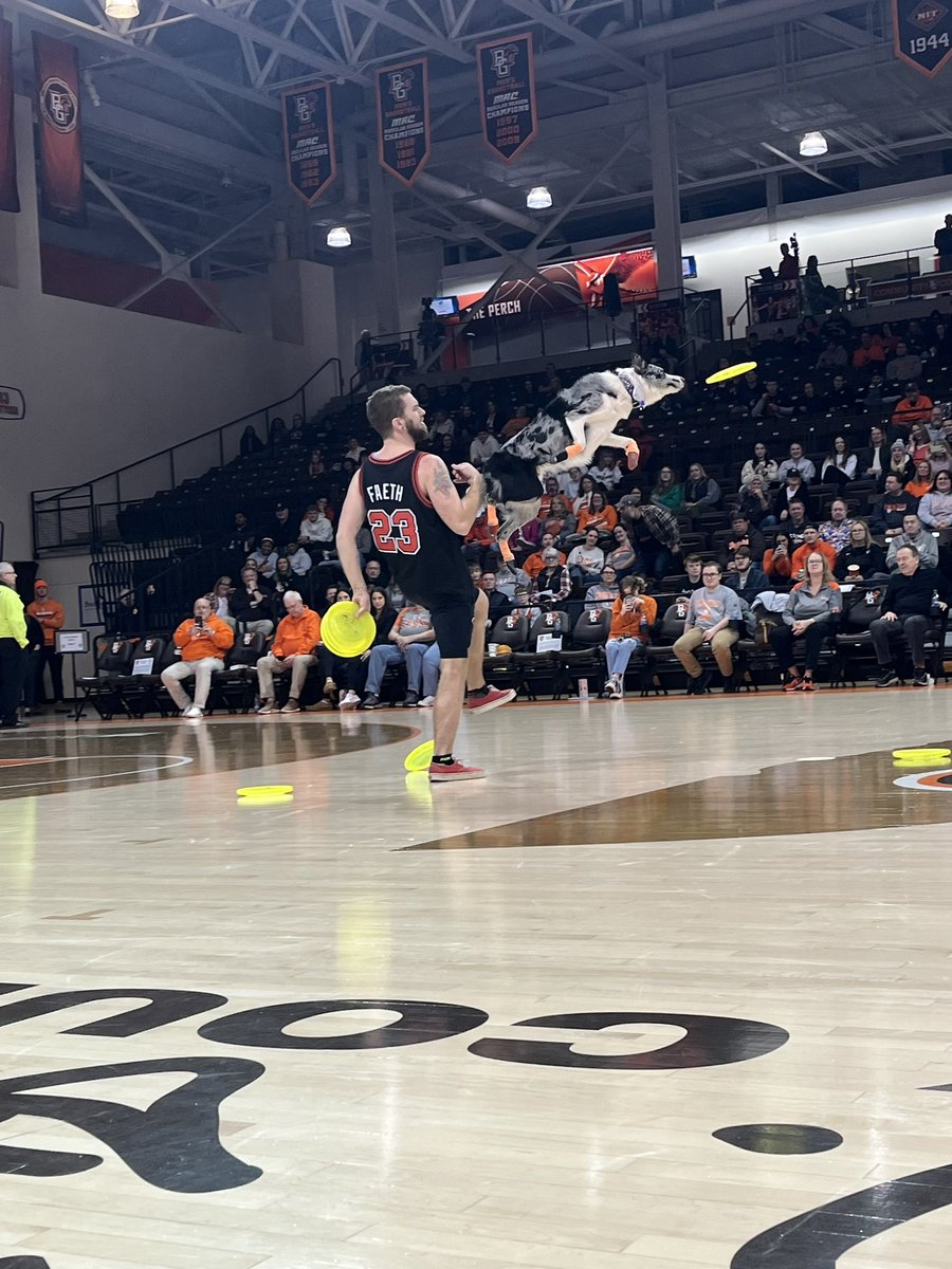 BGScreechTeam's tweet photo. Love a dog performance show at halftime! https://t.co/nGVjlSoVjH
