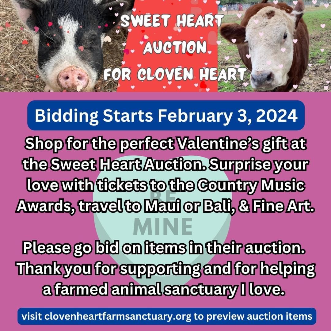 My friend's animal sanctuary is holding an auction to support the animals! It's at clovenheartfarmsanctuary.org if anyone is interested in checking it out or even supporting it in other ways! I'm sponsoring one of the animals, Tofu! So there's lots you can do!