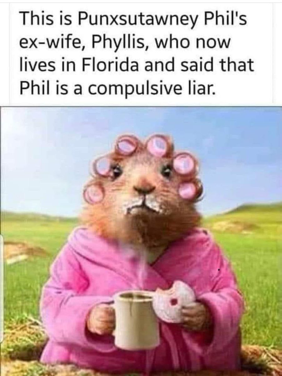 Peter Diehl tweet media