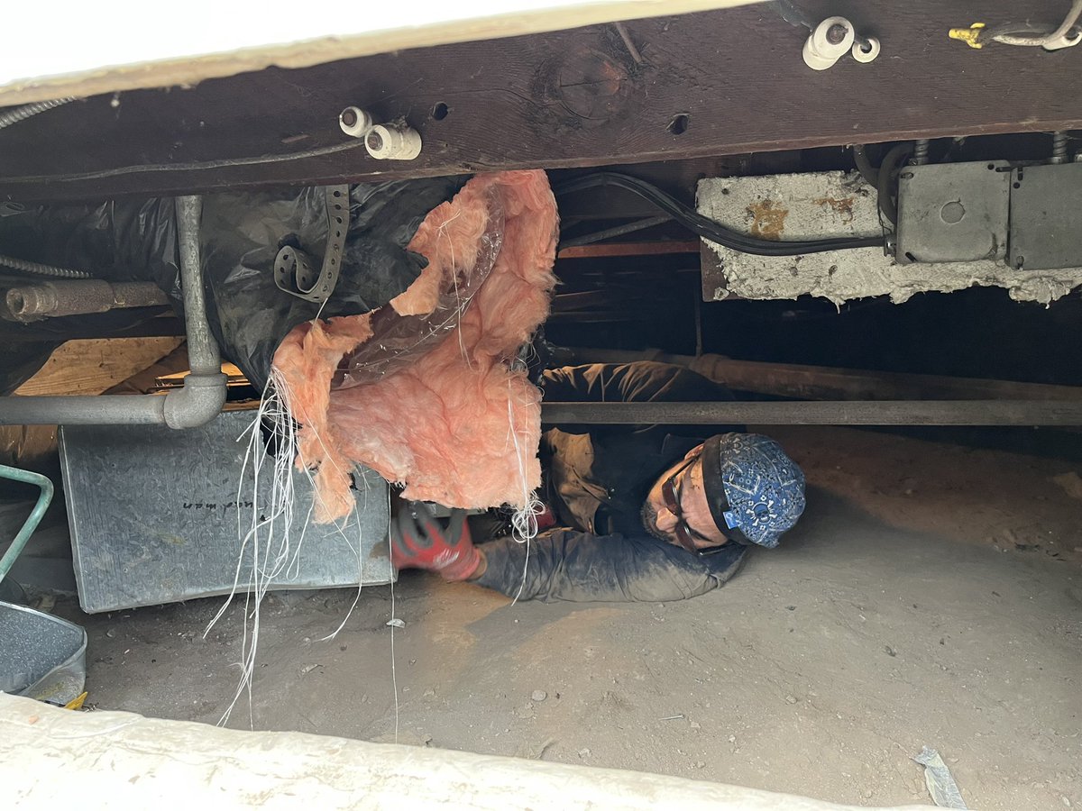 YJHVAC's tweet photo. Yellowjackets in action! 🐝🐝 

#hvac #heatpumps #installation #CleanEnergy #teamwork #berkeley https://t.co/TxXtlvCIjC