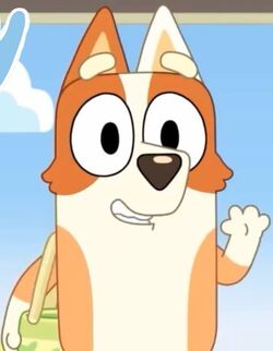 CartoonTennis23's tweet photo. So Today Is The Day that the Wildcard goes to Aunt Brandy. Congratulations Brandy. She Played 3 Exhibition Matches (2 singles and 1 doubles matches) to earn the wildcard. Good Luck in Tunisia 🇹🇳! https://t.co/UNXz6WuhZr