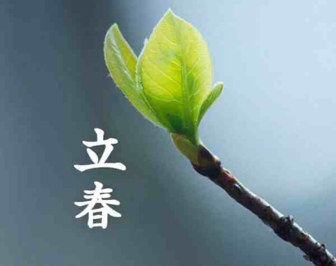 ryota_kampo's tweet photo. 今日2/4は立春。春の始まりって意味だけど旧暦の時代は立春が一年の始まりでもあった。「一年の計は元旦にあり」も元々は「一年の計は立春にあり」だったらしい。年明けから事故や災害が多かったこの1ヶ月、気持ちをリセットするのにちょうど良い時かも知れない。 https://t.co/Bnuprgw2AN