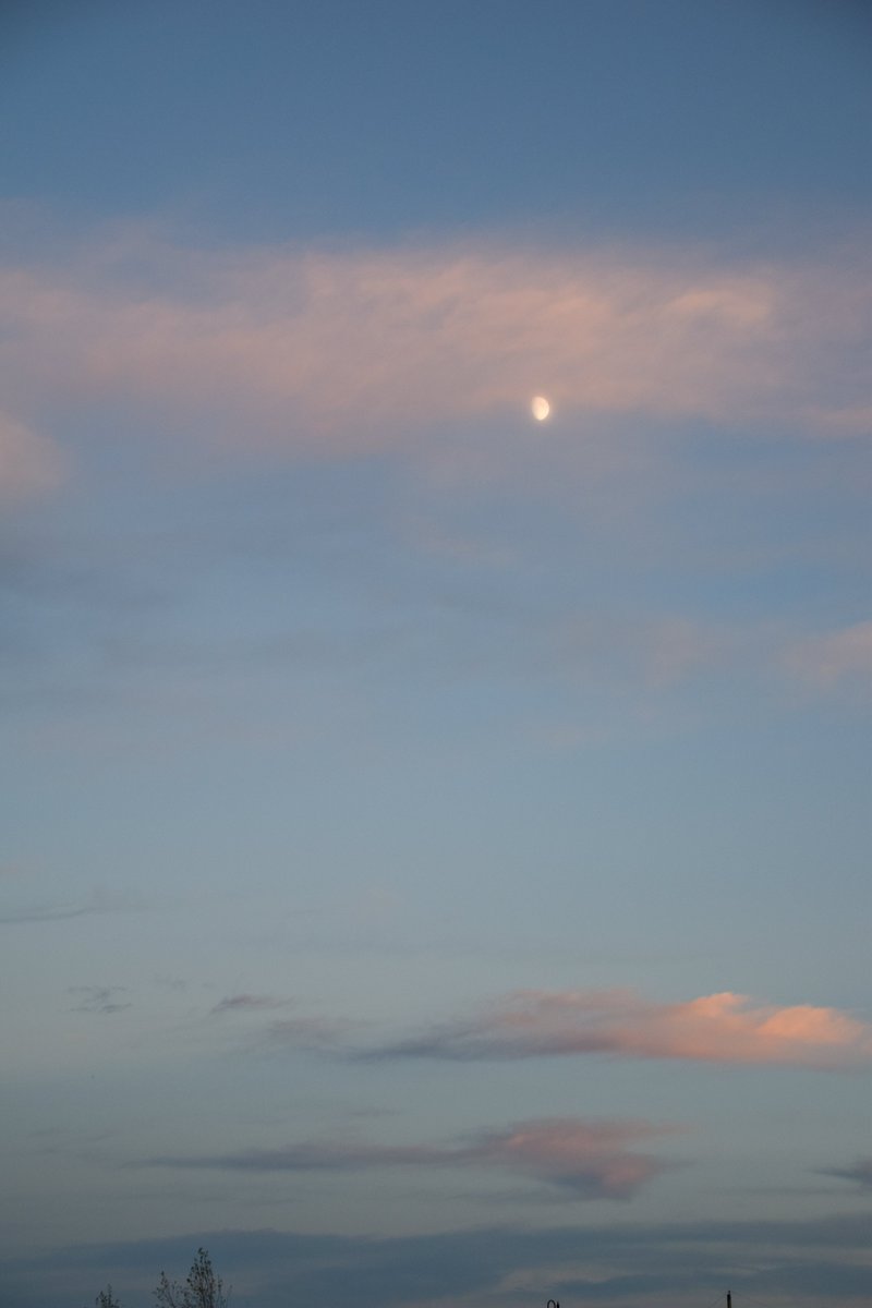 sambestock's tweet image. The colors in this one 😊 Anyone else feeling inspired?

#stockphotos #reference #artref #artreference