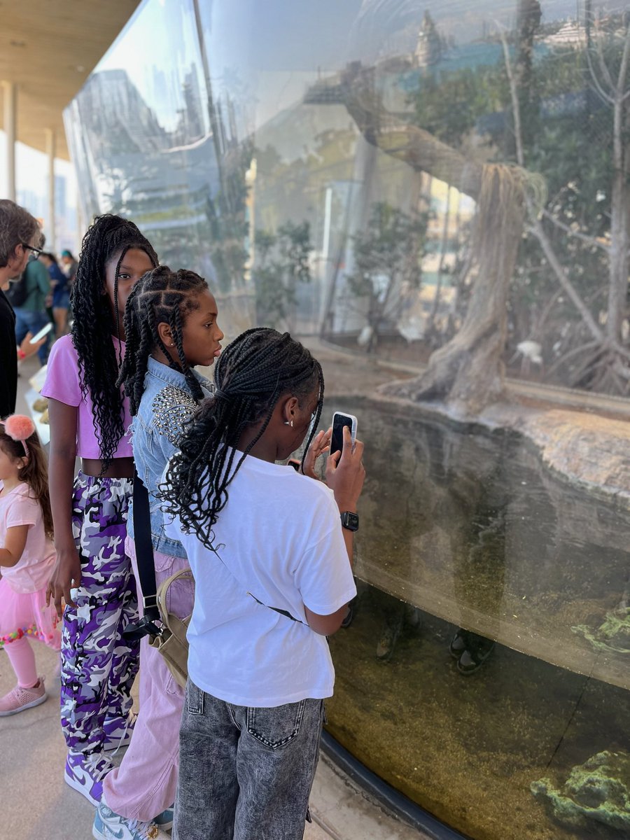 Ogilbert's tweet image. Today was a day full of exploration, the vibrant outdoor knight plaza all designed to ignite curiosity and inspire a love of science. The Family Fun Festival provided an incredible opportunity to immerse yourself in the wonders of science.