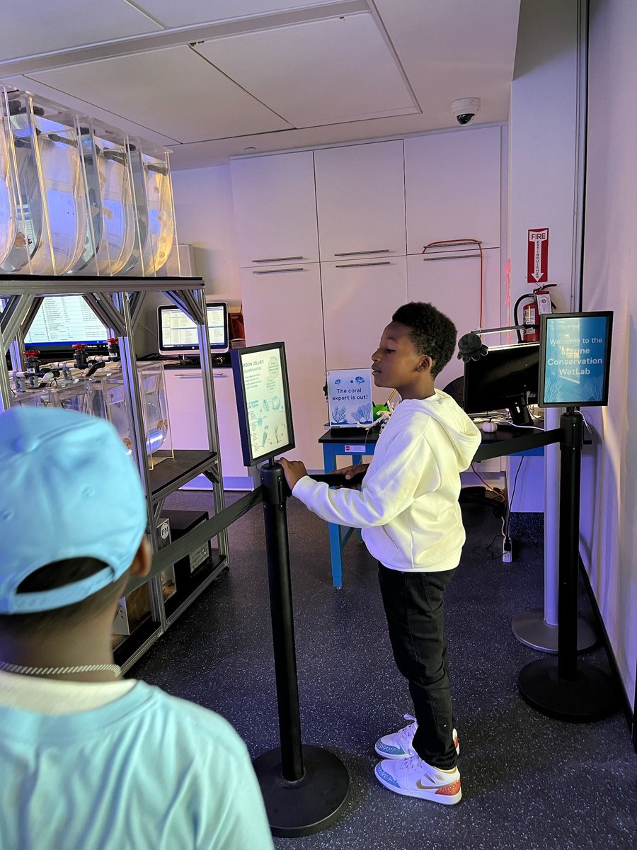 Ogilbert's tweet image. Today was a day full of exploration, the vibrant outdoor knight plaza all designed to ignite curiosity and inspire a love of science. The Family Fun Festival provided an incredible opportunity to immerse yourself in the wonders of science.