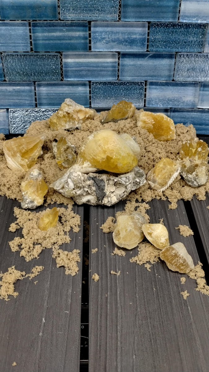 WalkerofTime's tweet image. #Caturday #calcite @kitty_bit_games @ClaireMax #Turtleshell #CatsOfTwitter #cats