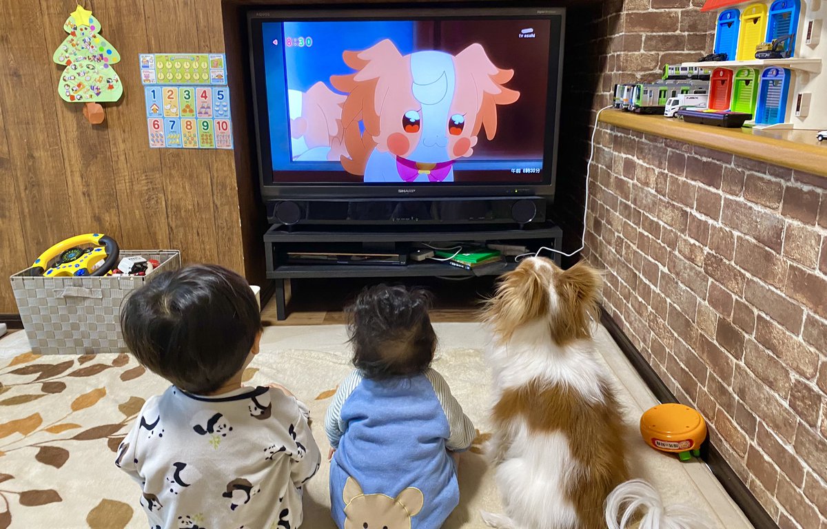 komoe_papillon's tweet photo. わんだふるぷりきゅあ
並んで見てる〜😍と思ってたら
こむぎに吠えまくるうちのパピヨン😂

#precure #プリキュア #わんぷり https://t.co/6Fhjb00i6G