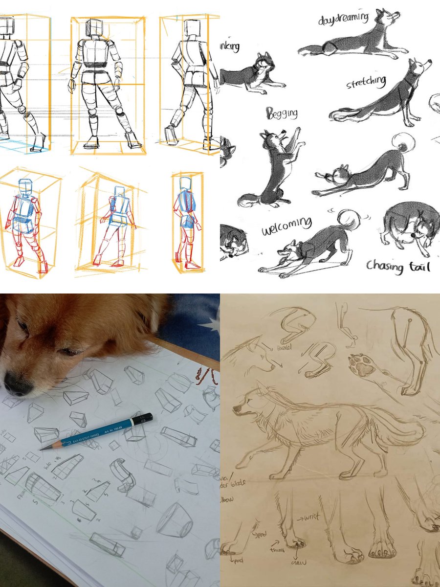 Doggobloc tweet media