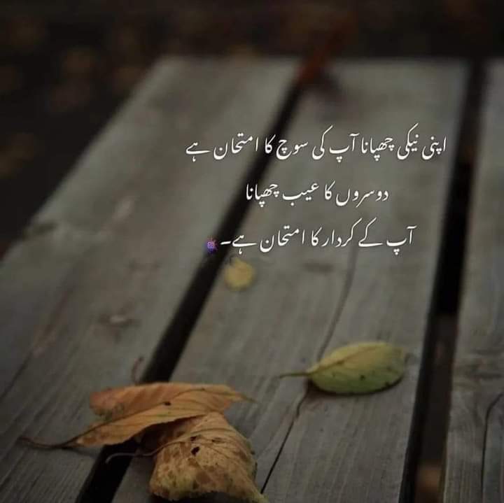 Aslam.o.alaikum❤️