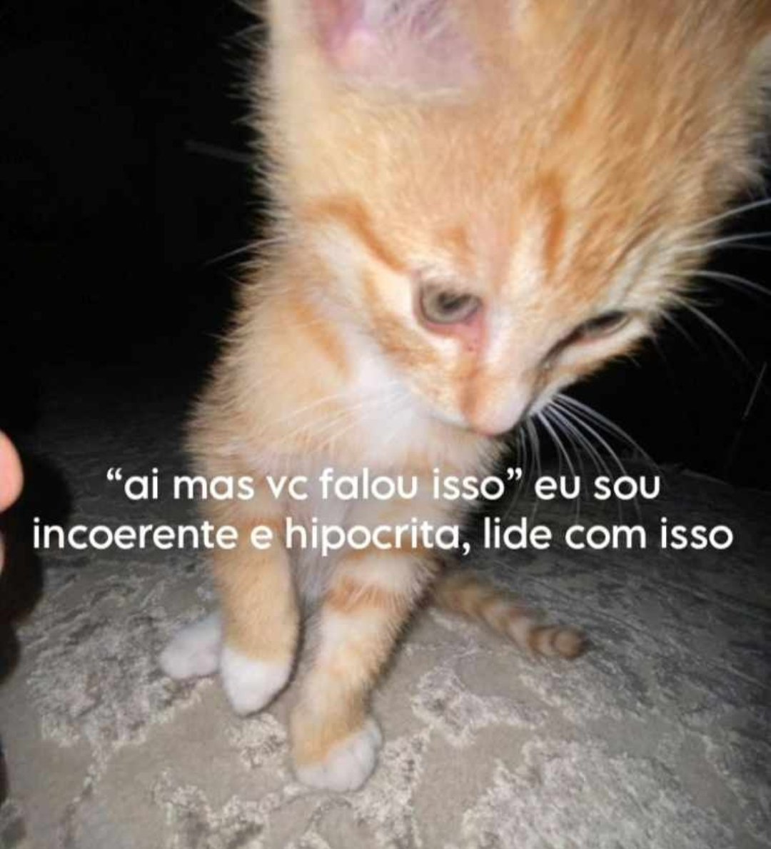 glrianm's tweet image. 