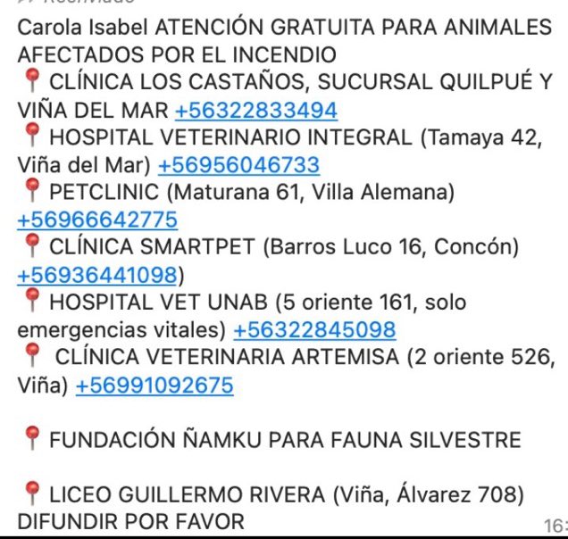 badhstls's tweet photo. LUGARES DE ATENCION GRATUITA PARA ANIMALITOS EN V REGION https://t.co/e3lSEVvqHI