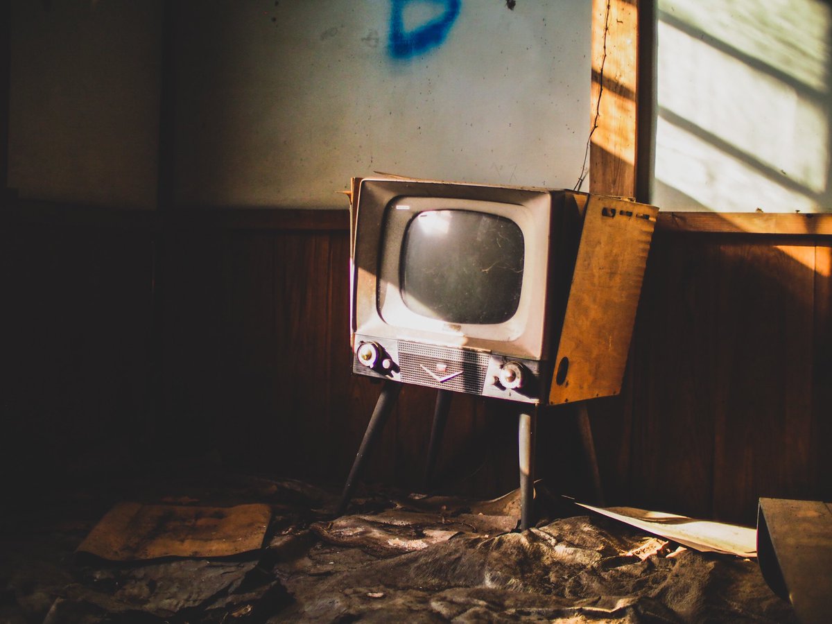 可愛すぎ
飼いたい