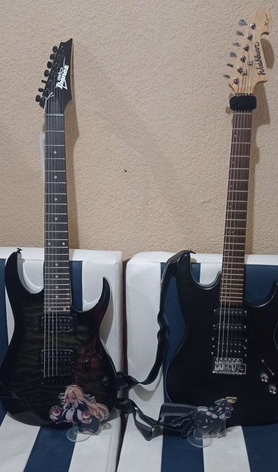 夏希ちゃん &amp; カサンドラちゃん💗😂

 私の7弦と6弦ギター～🙏🤘 