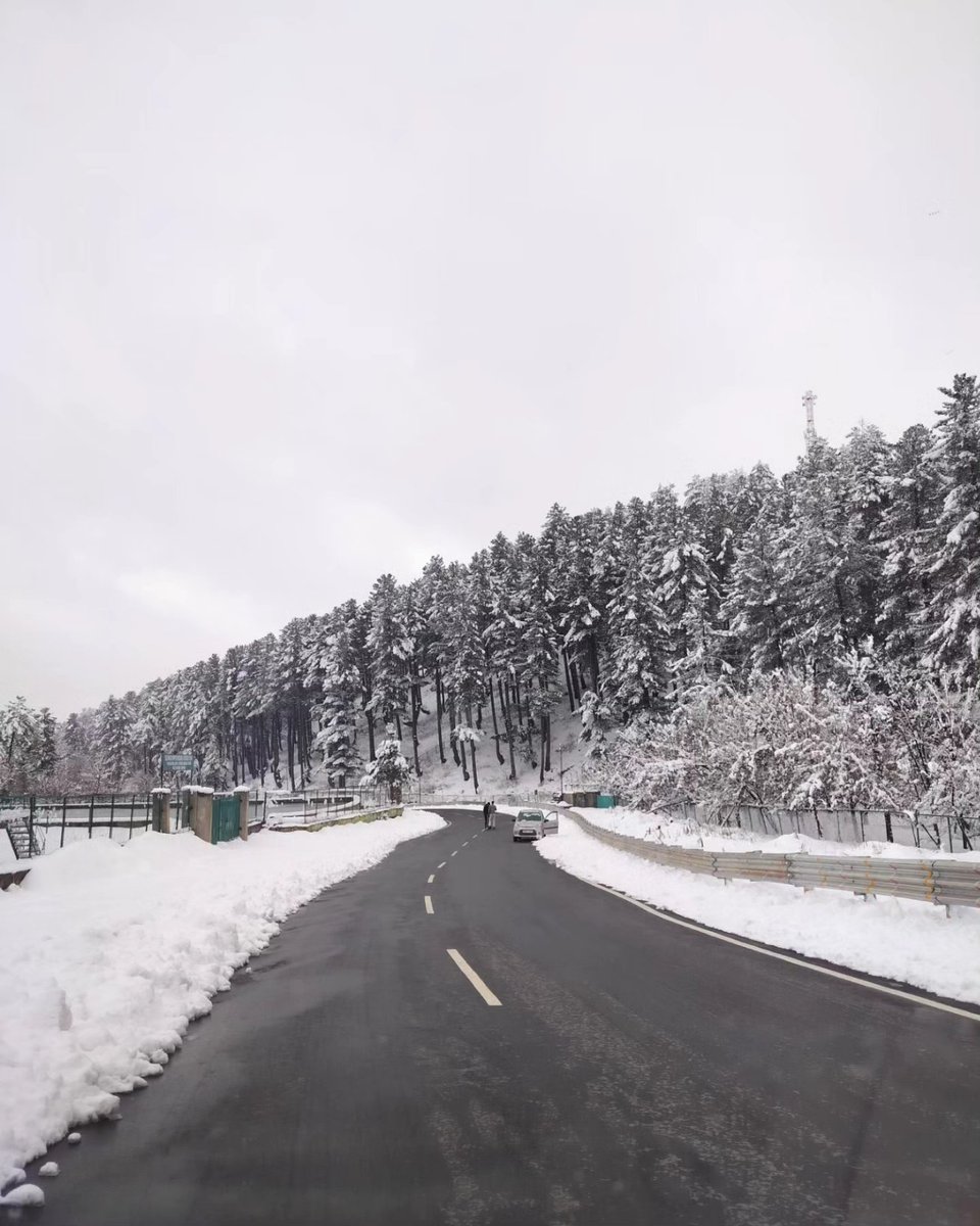 Yasirbashier's tweet photo. A pristine sheet awaiting the brushstroke of winter ❄️ https://t.co/GfwFHUSJ1K