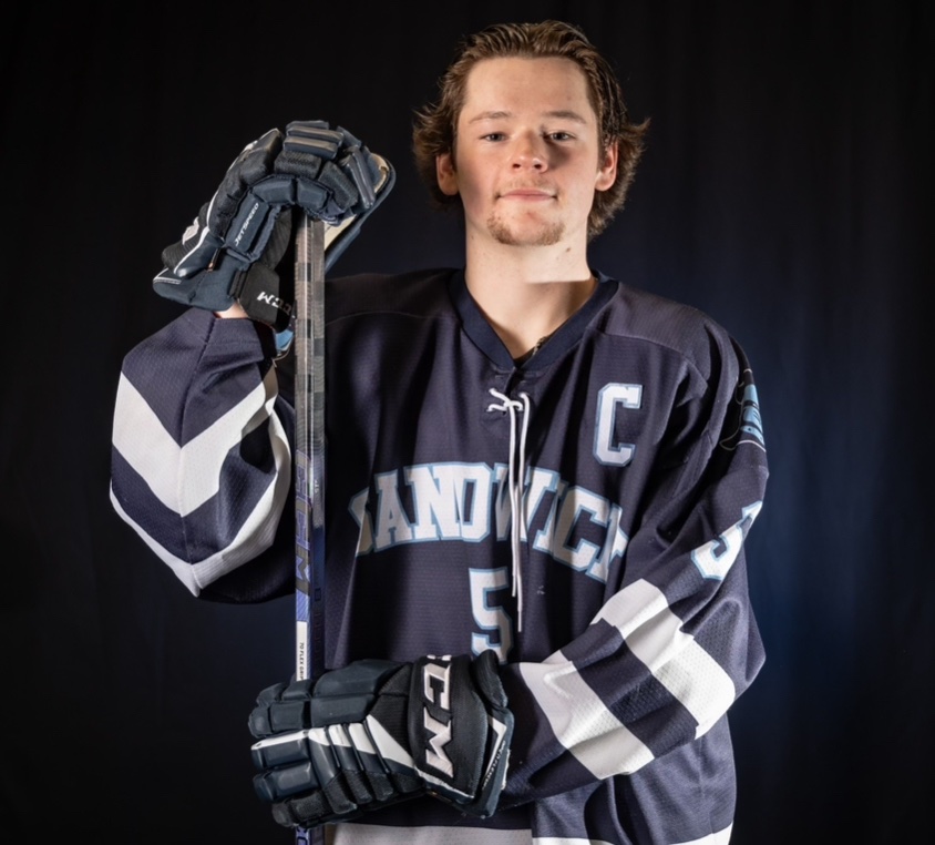 Sandwich Hockey tweet media