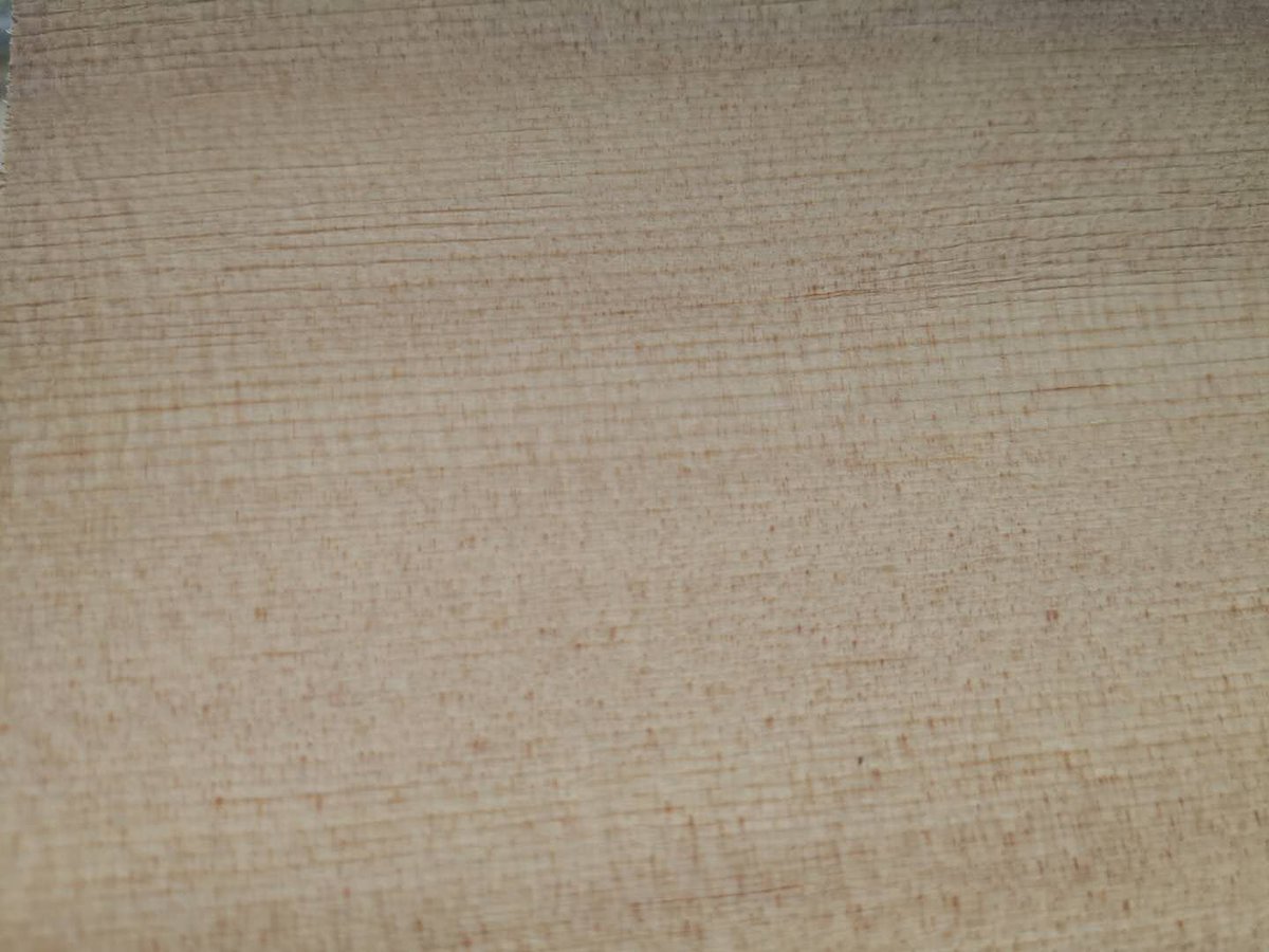 铁杉木单板或铁杉木皮通常源自铁杉树。它具有浅色、苍白的外观，纹理直。这种木材以其细腻的纹理和可加工性而闻名，使其适合家具和室内设计的各种应用。铁杉木单板通常用于在木工项目中实现干净和现代的美感。