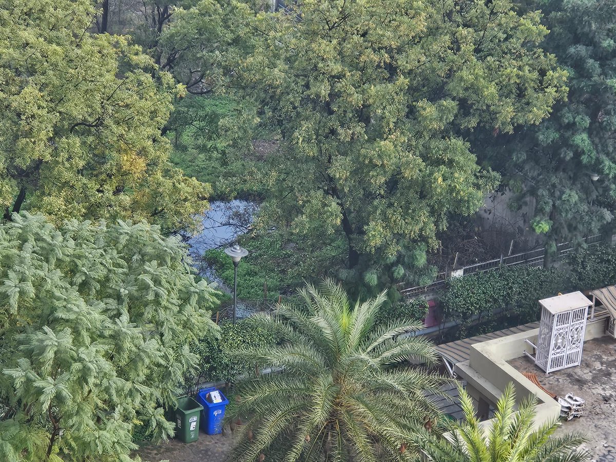 Sewerage water being discharged behind Elan mall and Society Godrej Frontier, Sector 80.
<a href="/MCManesar/">Municipal Corporation Manesar</a>  is not waking up, even after several followups by Residents of Godrej Frontier.
<a href="/DC_Gurugram/">DC Gurugram</a> <a href="/ZC_zenith/">Zenith Chaudhary</a> <a href="/cmohry/">CMO Haryana</a> <a href="/DEEPAKKAHUJA/">DEEPAK AHUJA</a>