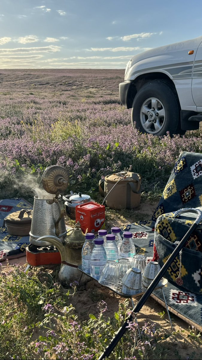 iox52's tweet image. ذكراك لا هبَّتْ يجي عطرها صلف
واستنشقه بالصدر مثل الخزامى .