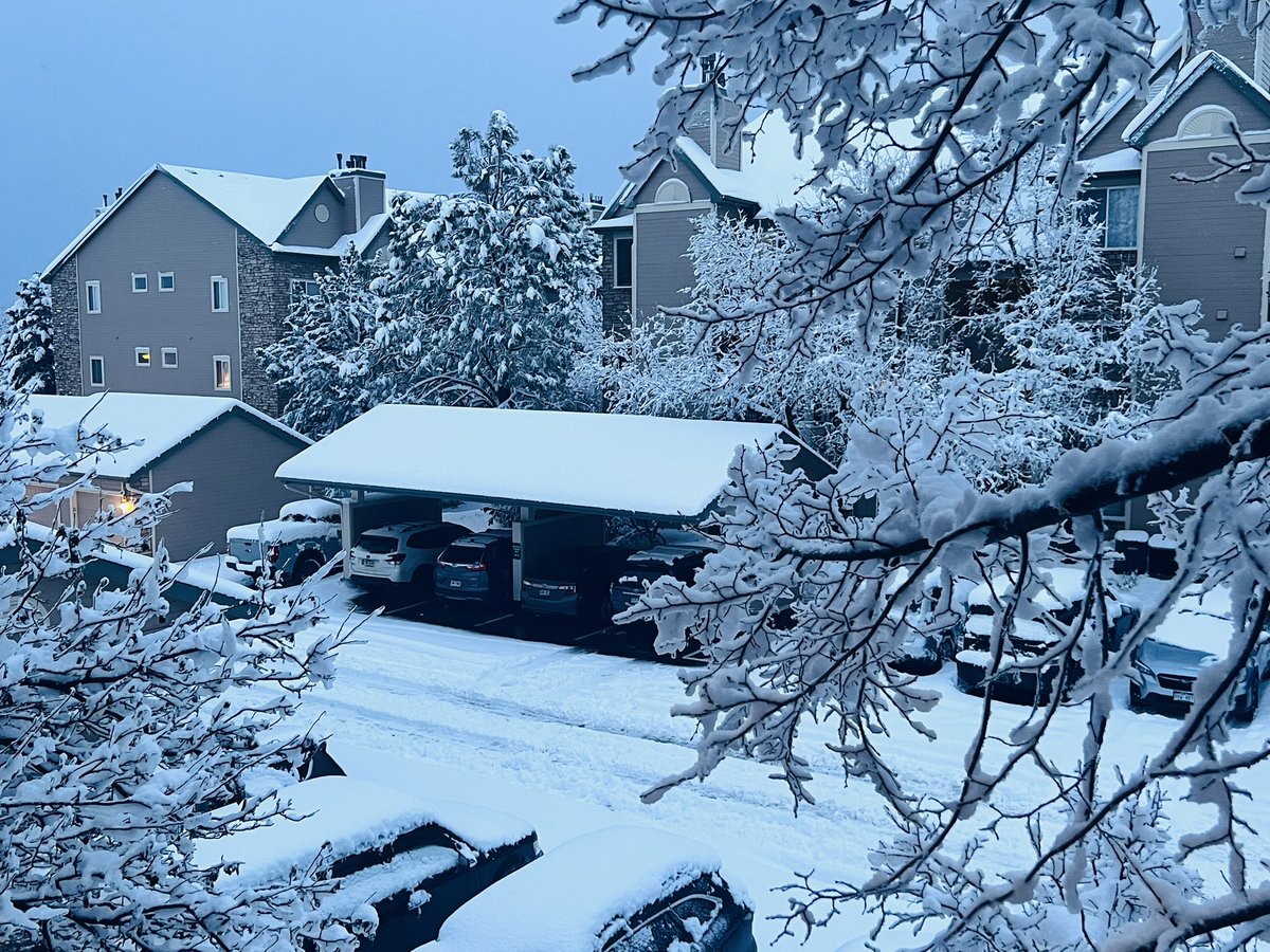 honuman420's tweet photo. Finally stopped snowing at Ken Caryl. #cowx #COwx https://t.co/xAkkaARoK9