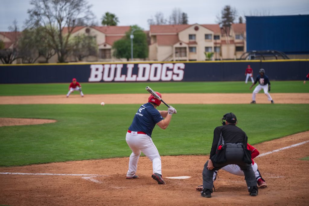 Diamond 'Dogs tweet media