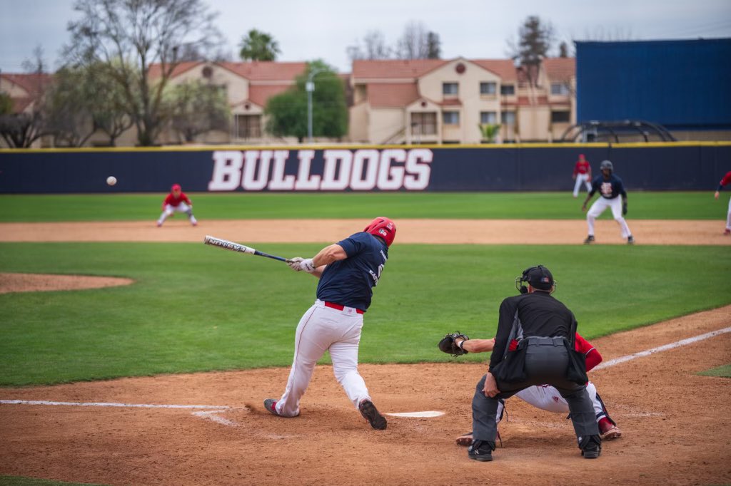 Diamond 'Dogs tweet media