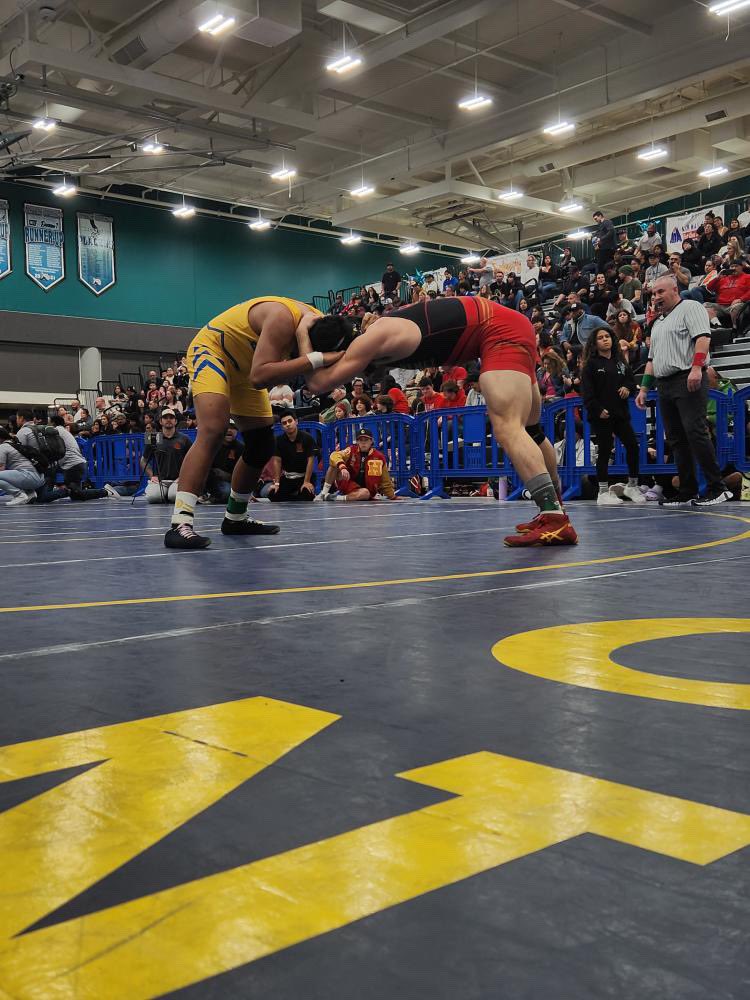 WRESTLING IVY LEAGUE CHAMP🥇