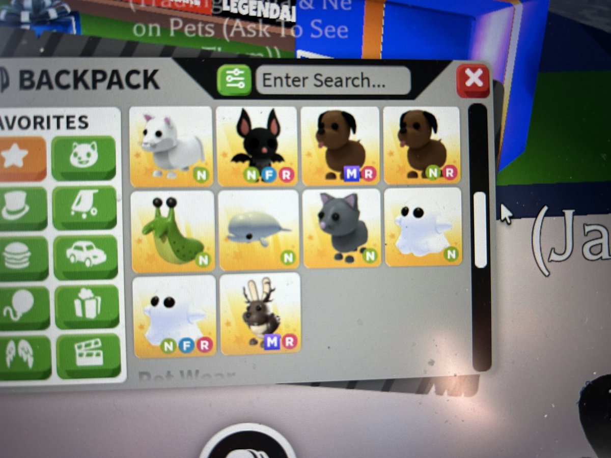 PuppetRobin's tweet photo. Trading everything in the photo (click to see everything)

The fr turtle ,r flamingo,nfr bat,  and n cat are full grown 

(Trading for a good mega  or neon legendary but feel free to offer )
#adoptme #Adoptmetrades #adoptmetrading #adoptmetrade #adoptmeoffers #adoptmeoffer https://t.co/DGzDJwN5f6