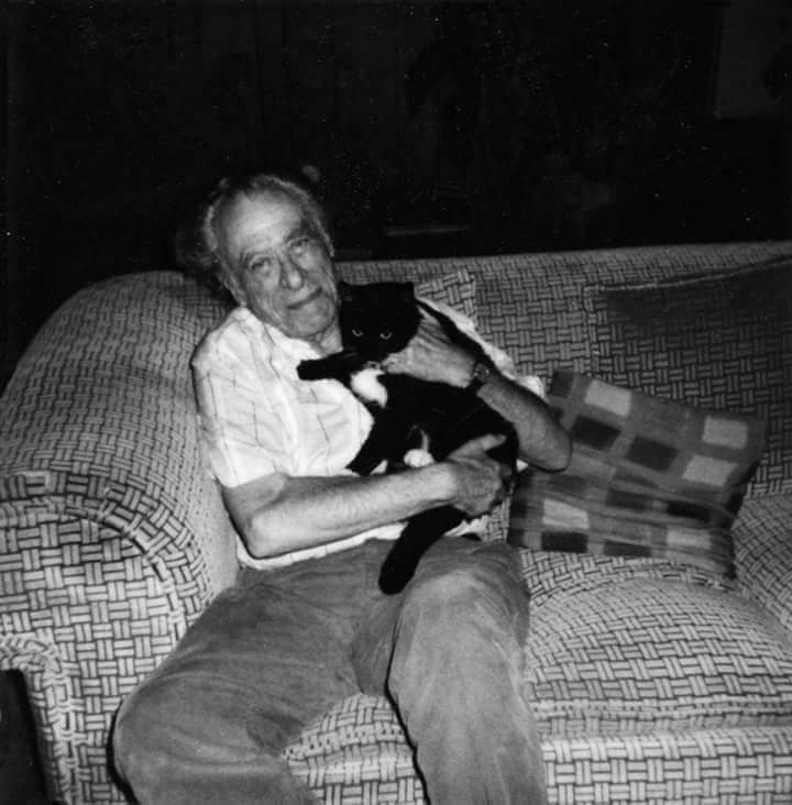 BukowskiQuotess's tweet photo. La tele me pone enfermo en cinco minutos, pero miro un animal durante horas y solo veo gracia y gloria.

#Bukowski https://t.co/LaWvmPSs4s