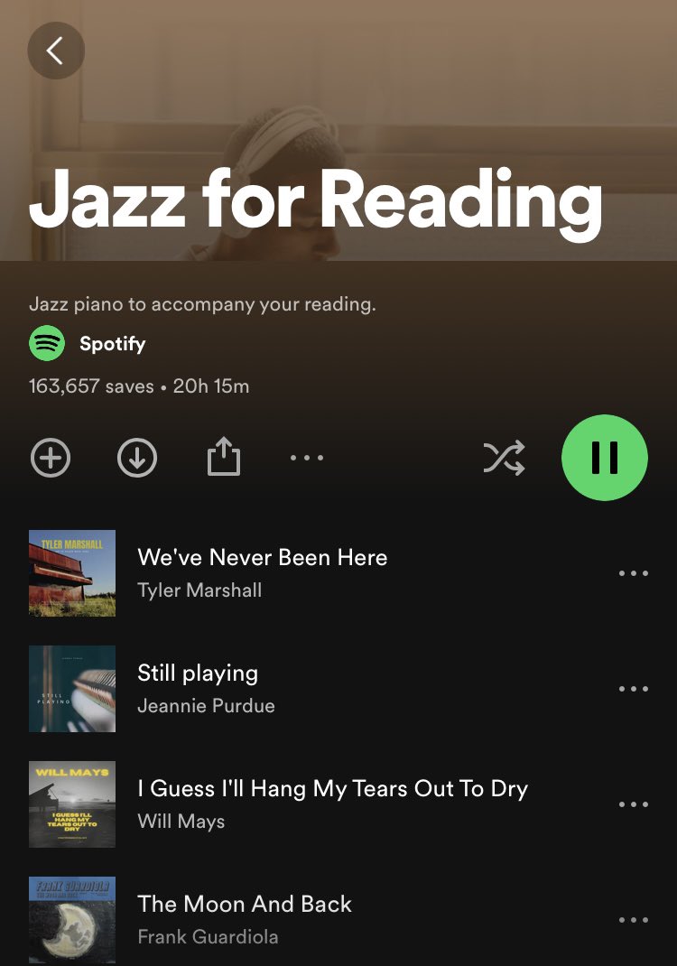 i have extremely sinister feelings about this playlist… every song is acoustically identical, like it was recorded on the same digital instrument setting, and none of the artists have photos or pictures or show up when you search them