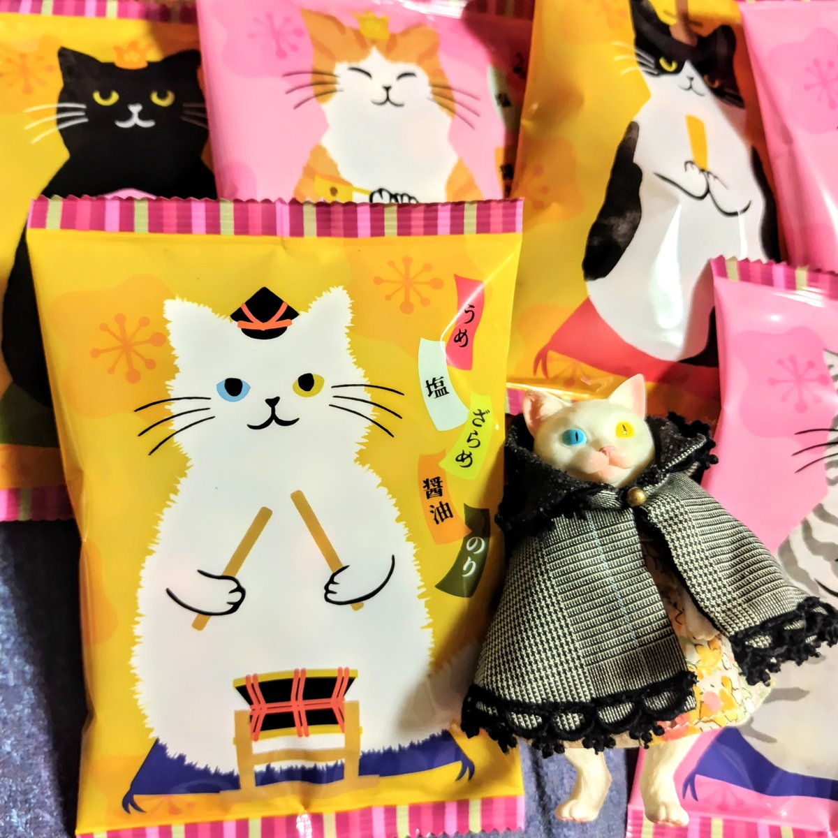 maicyamu88's tweet photo. まるがいたのにゃ!
#necca https://t.co/7ks4fzRnwd