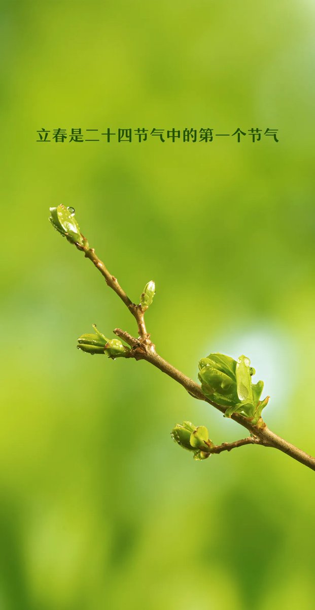 Jimmymi2's tweet image. Beginning of Spring